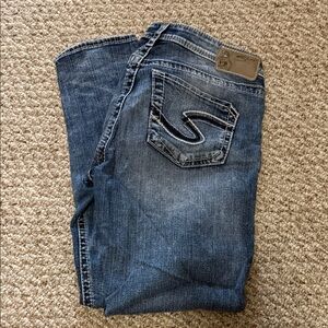 Silver Jeans Women's Skinny Blue Jeans